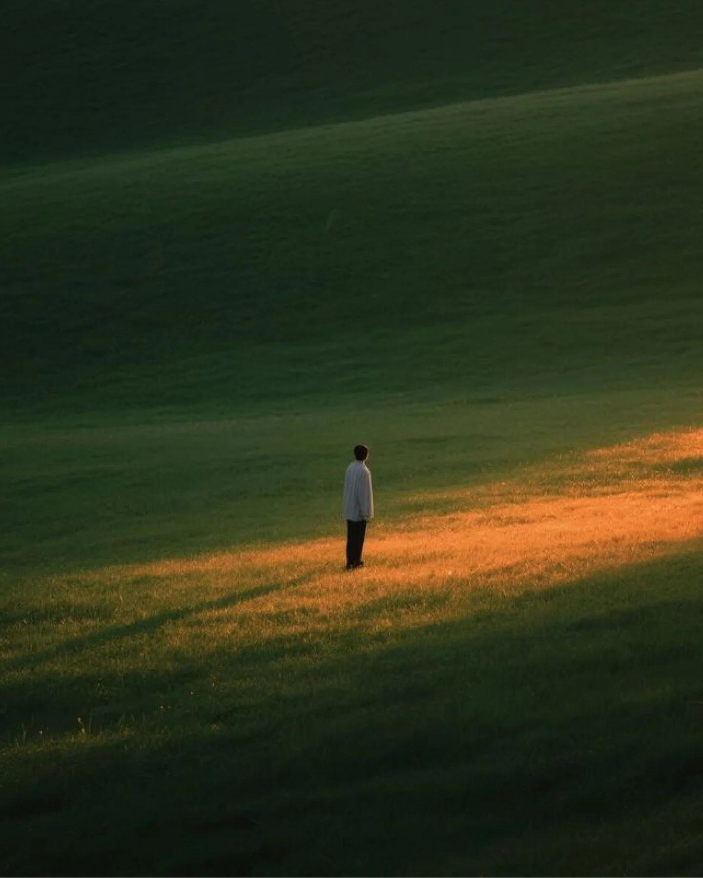 At Hue Therapy, healing is understood as a relational process. We work with the nervous system, attachment patterns, and lived experience to rebuild a secure internal relationship between the inner child and the inner wise person.

Not hierarchy,not 