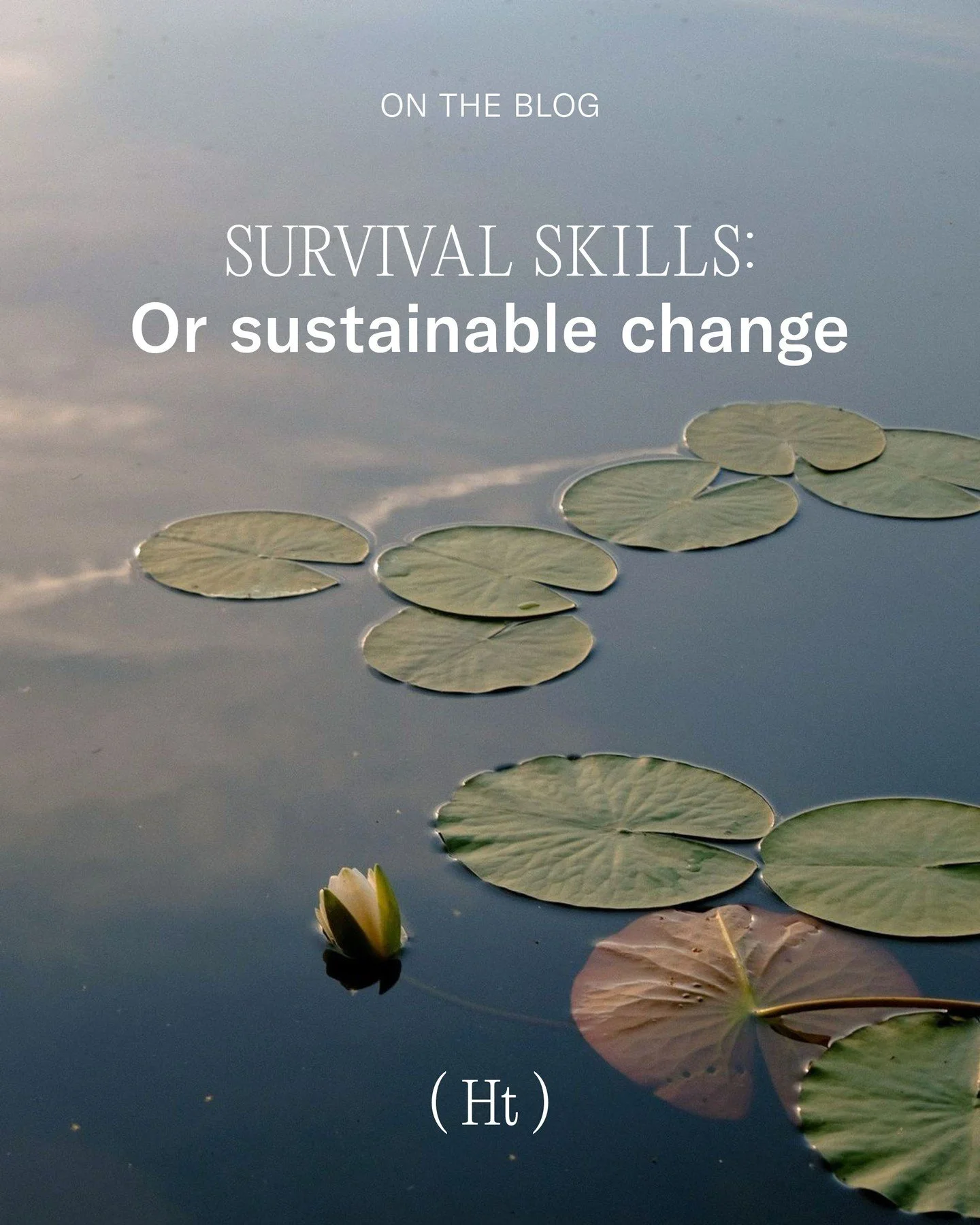 ON THE BLOG: One of the most common patterns we see in people who experienced trauma in early childhood is a heightened capacity for problem-solving, change-making, and optimisation.
Whether or not someone identifies as neurodivergent, early trauma f