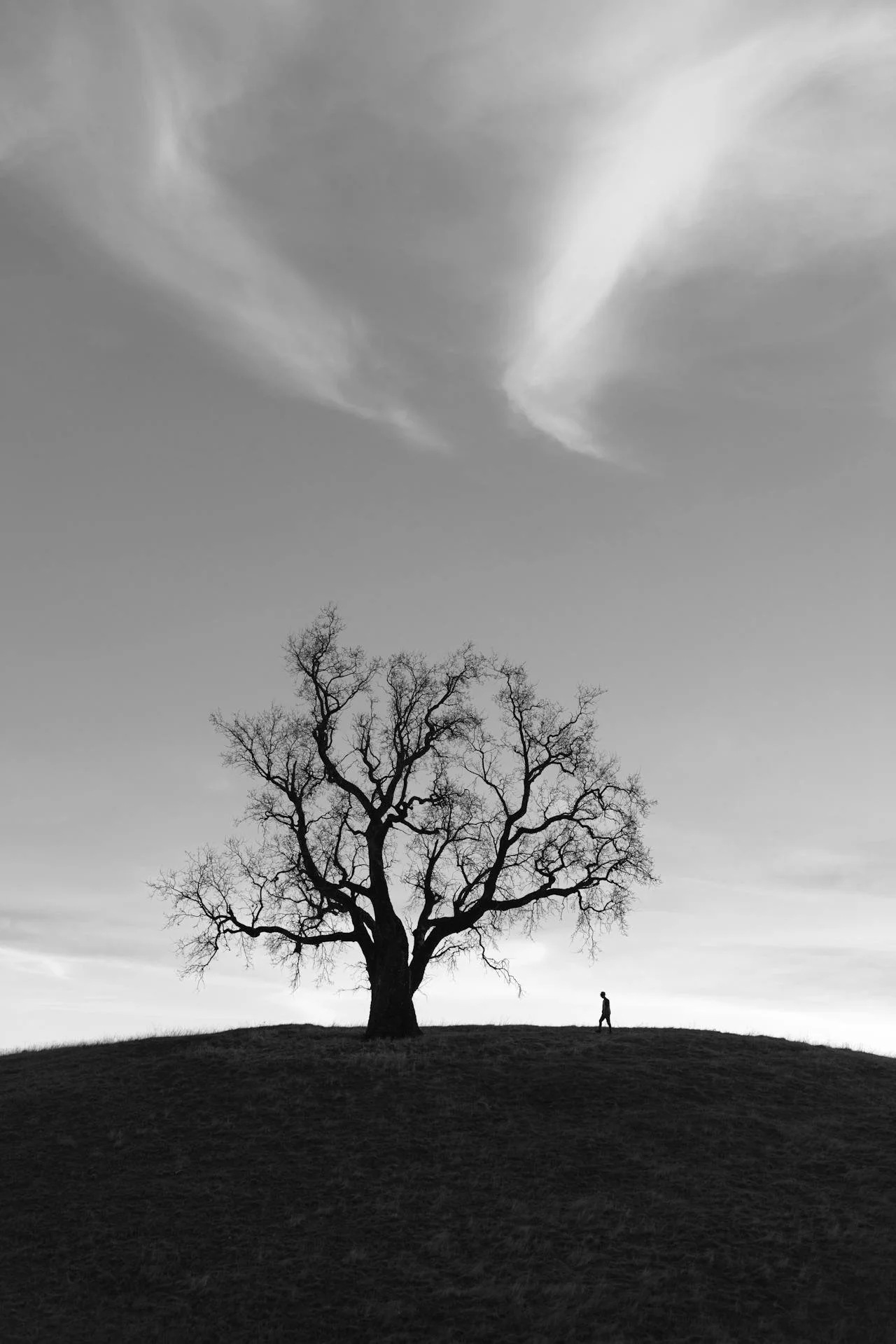 burnout and fatigue