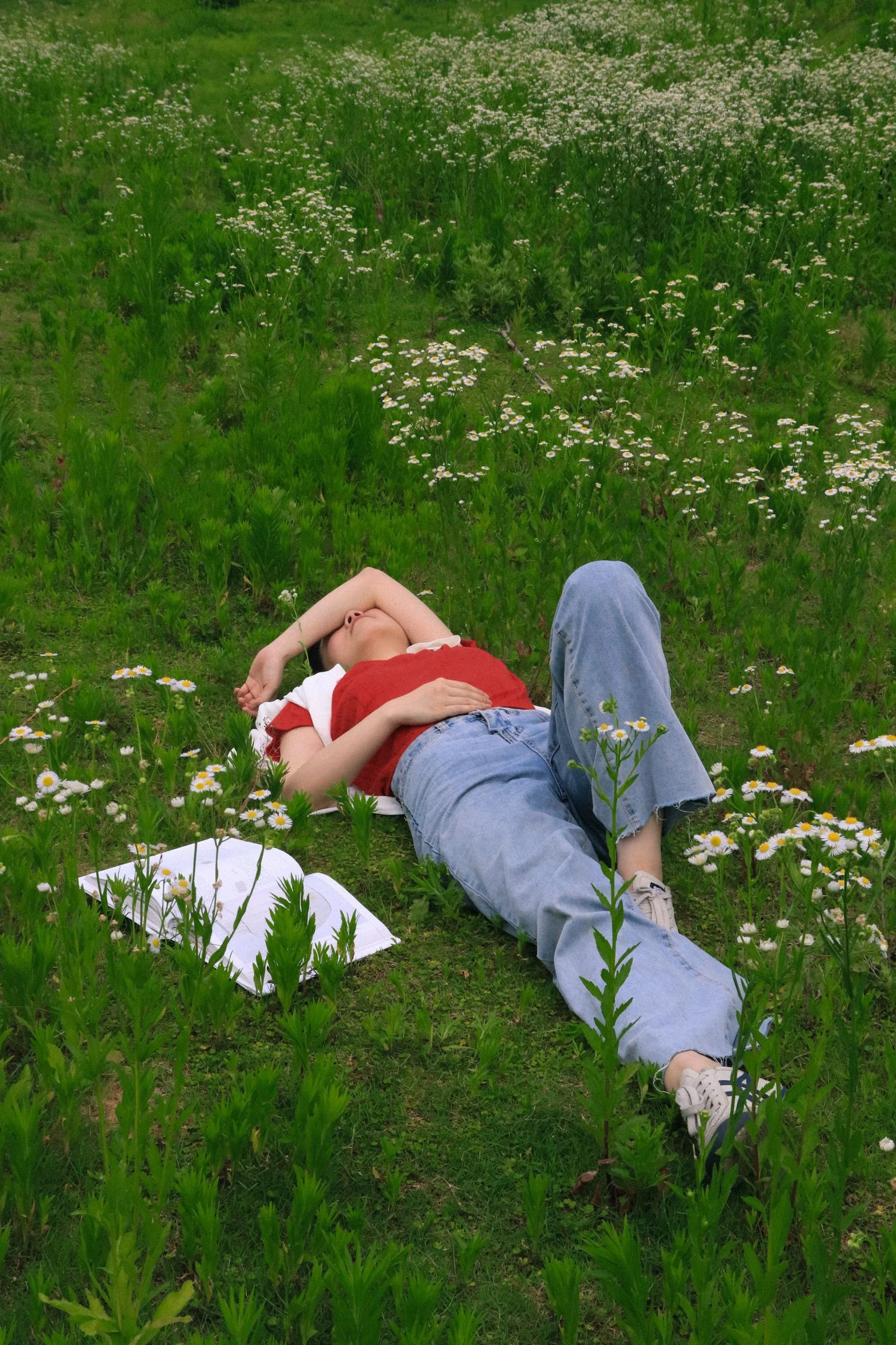 Person in a red shirt and jeans reclining on a blanket in a daisy-filled meadow