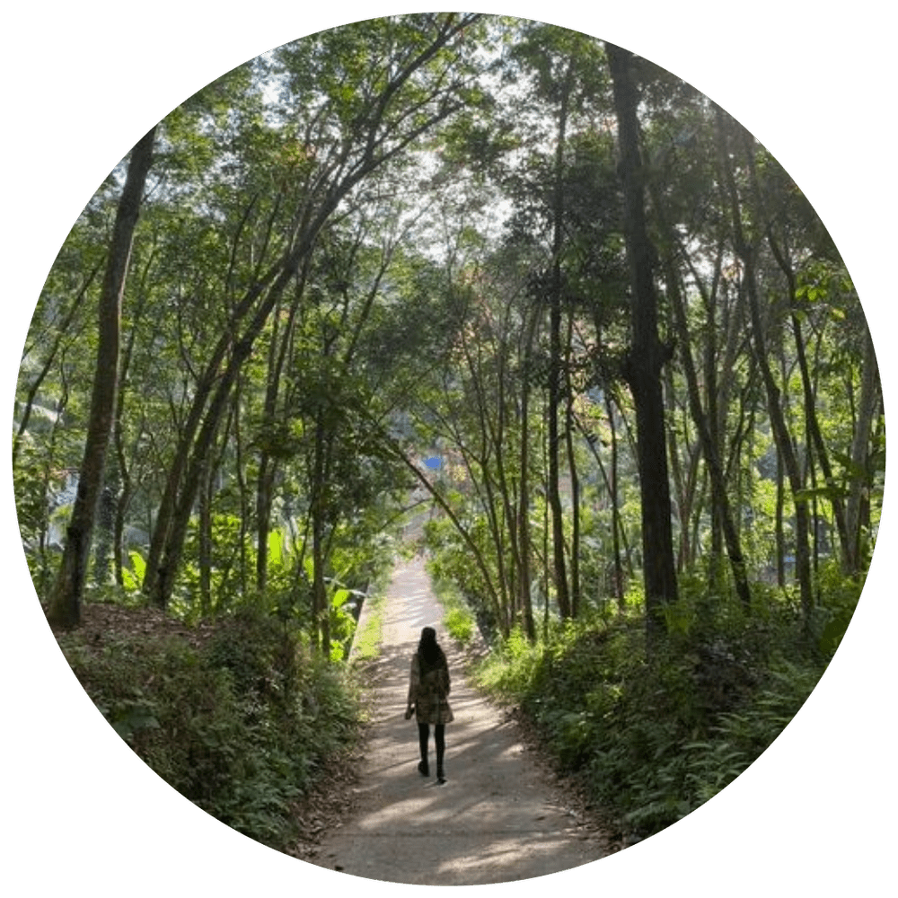 new-year-in-india-linda-nicholls