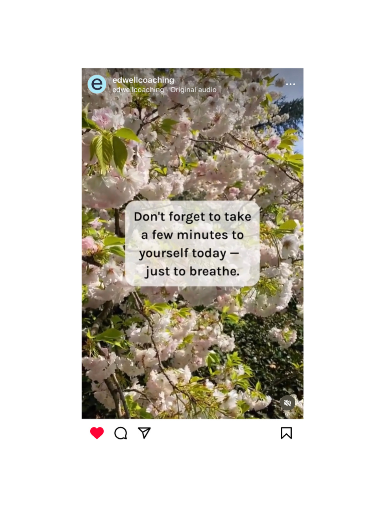 46.png