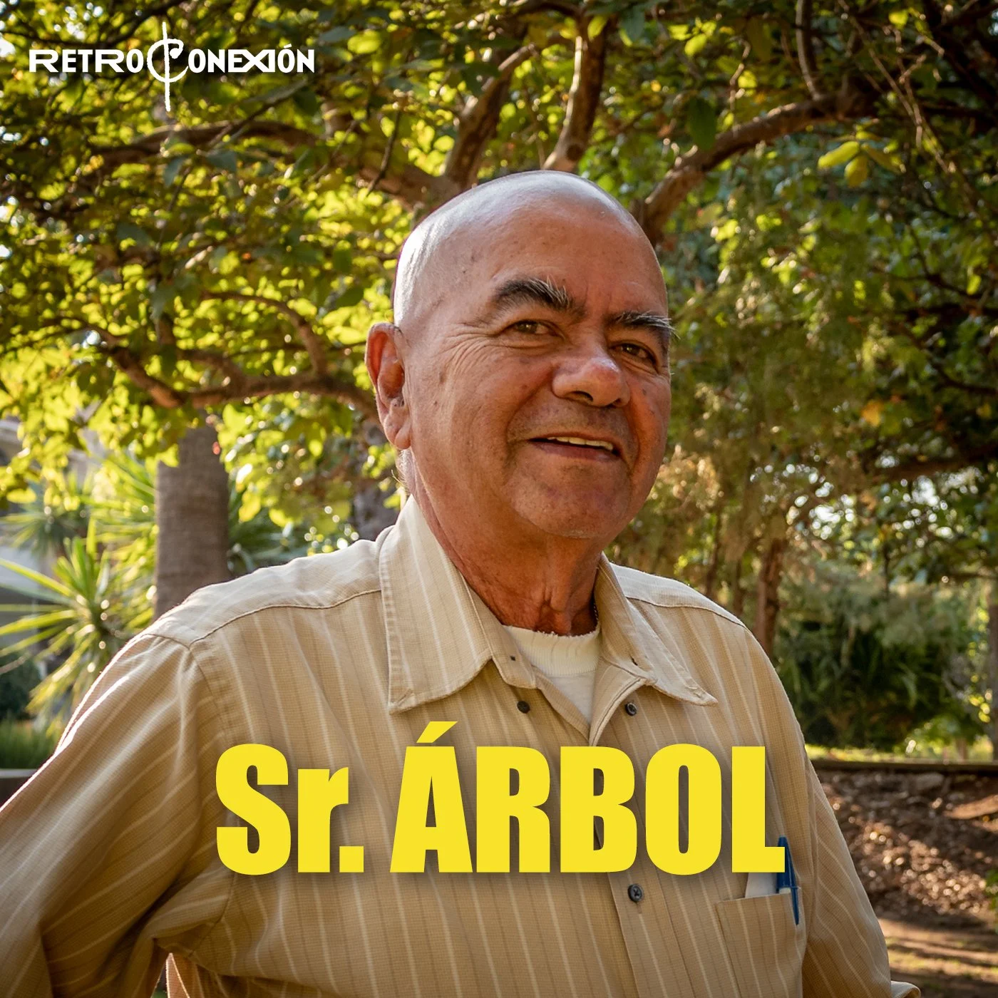 SR. ÁRBOL