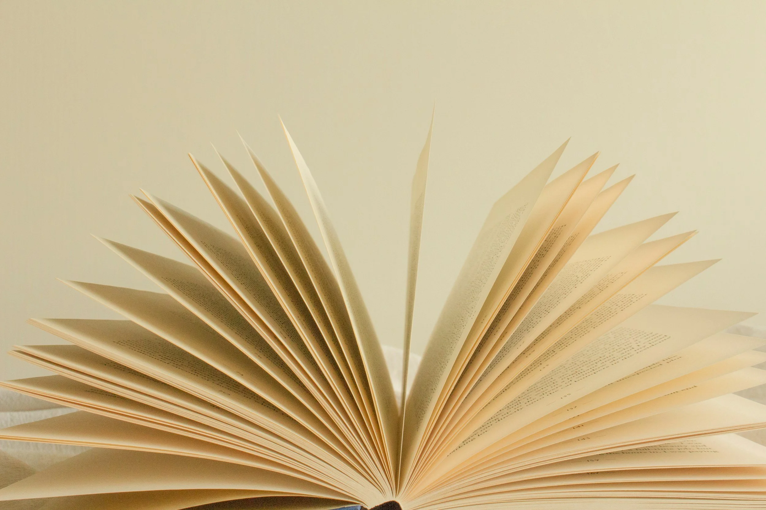 Día internacional del libro