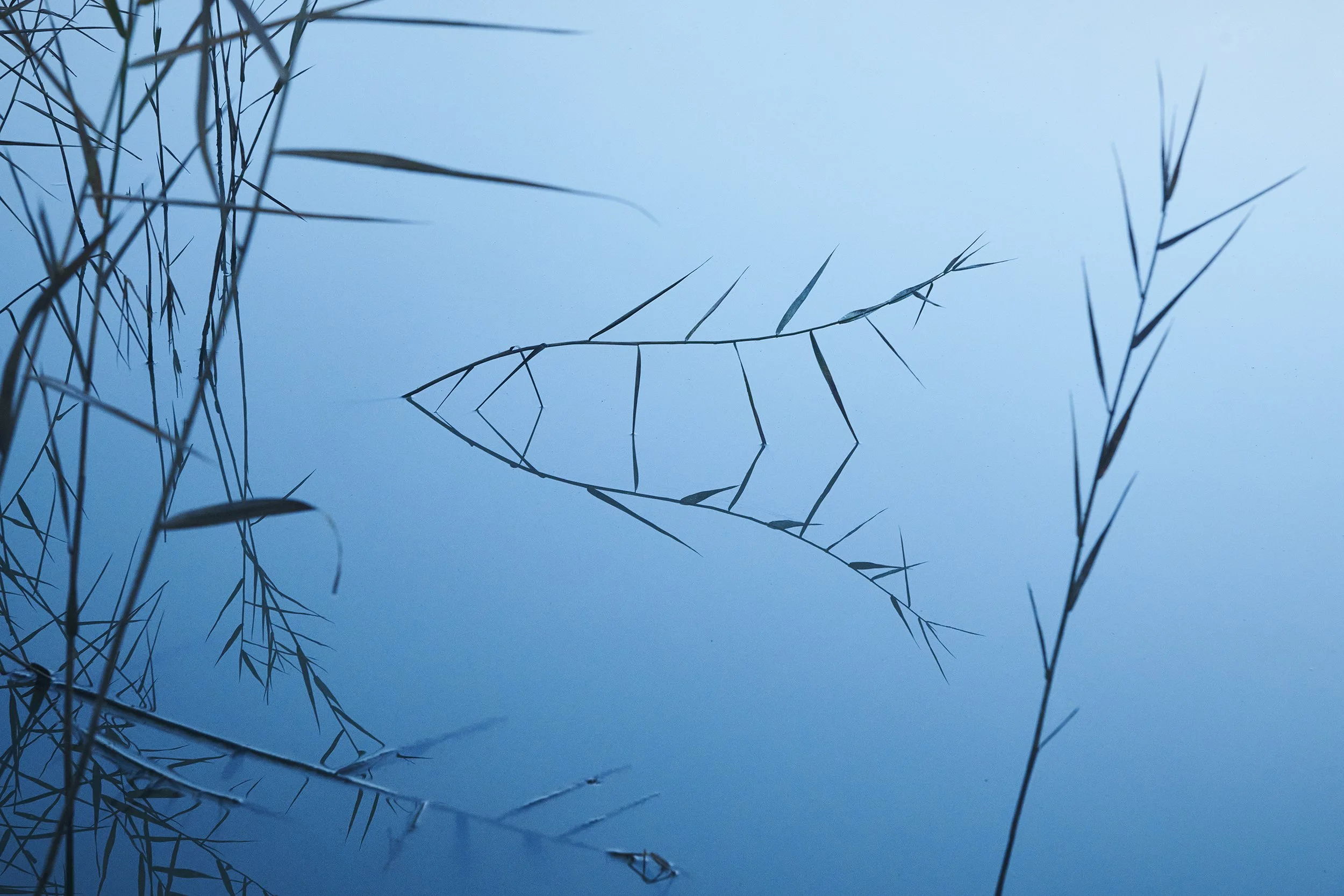 PILLARS RD 21_DSC_6098 1.jpg