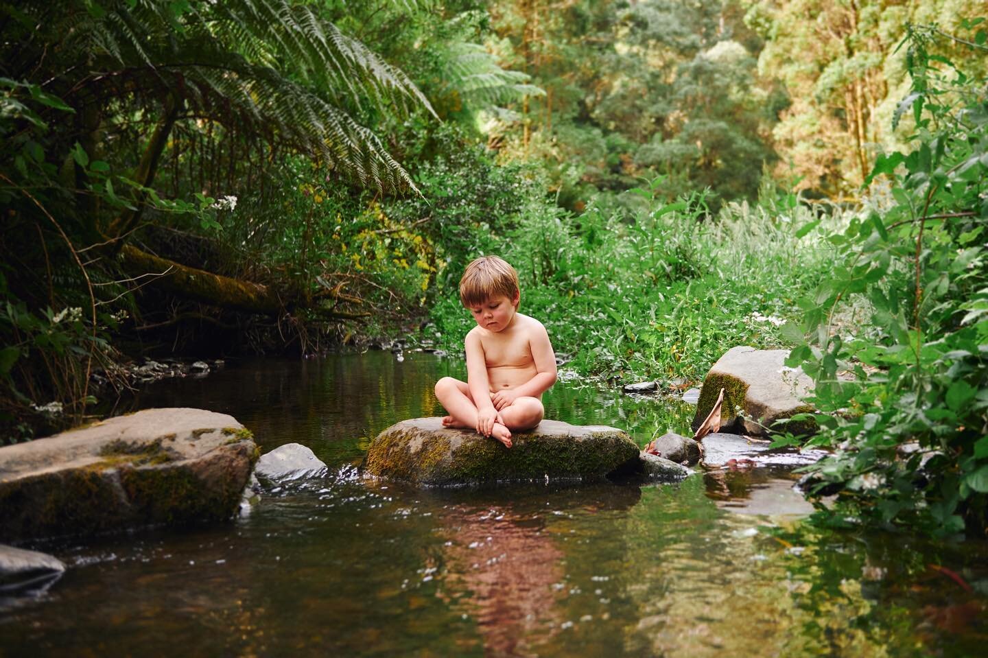 p o n d e r

Finn a fews ago down at Apollo Bay in Xmas holidays.