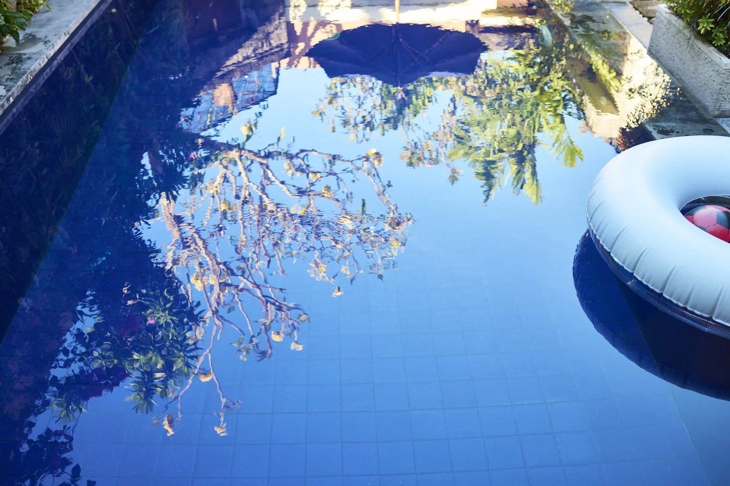INDO25_DSC_2814.jpg