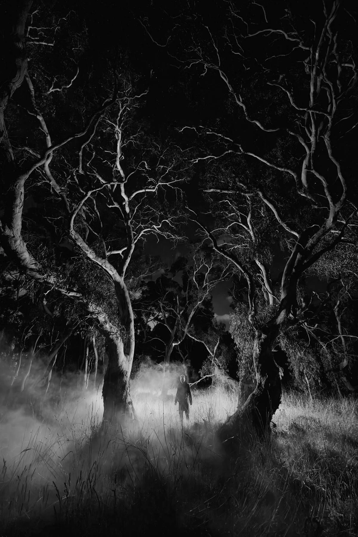 OLDBUSHLAND24_DSC_0705.jpg