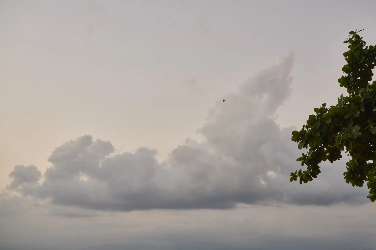 INDO25_DSC_3291.jpg