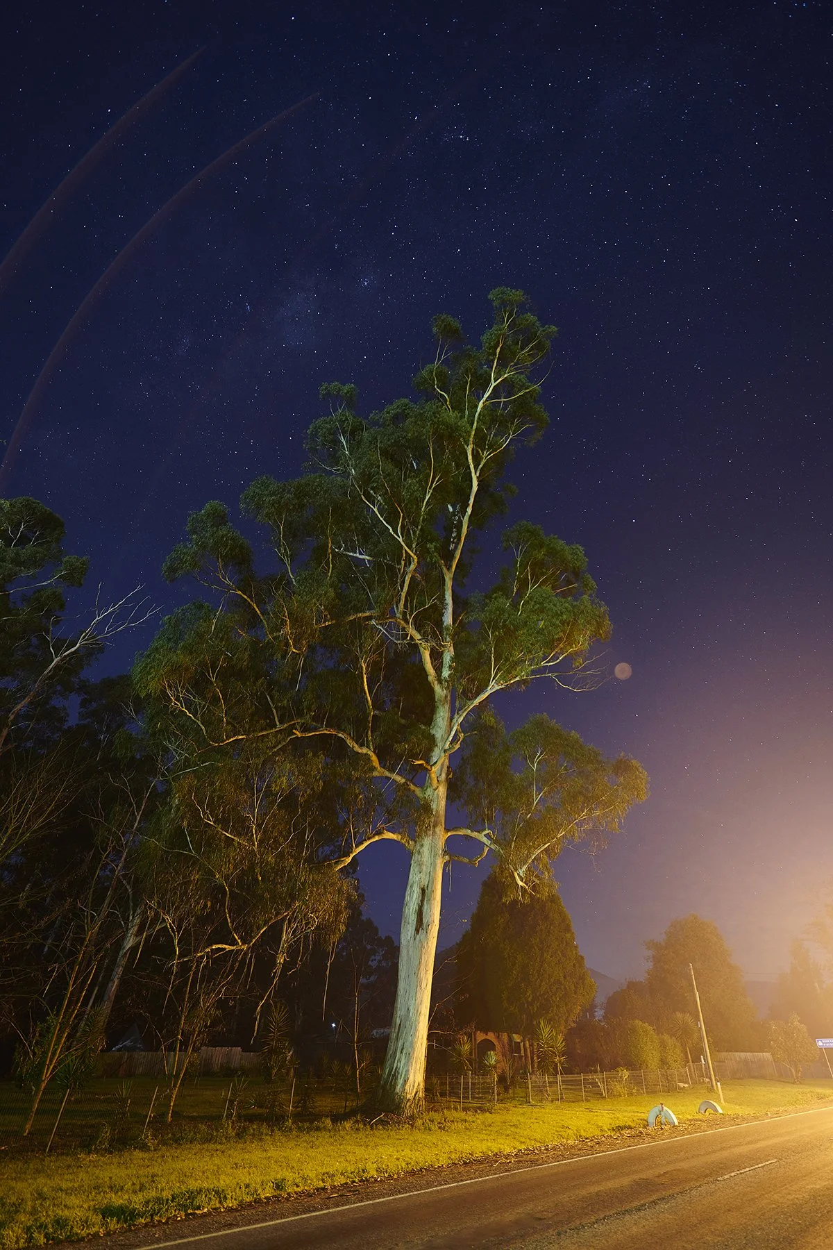 HEALESVILLE 21_DSC_5921.jpg