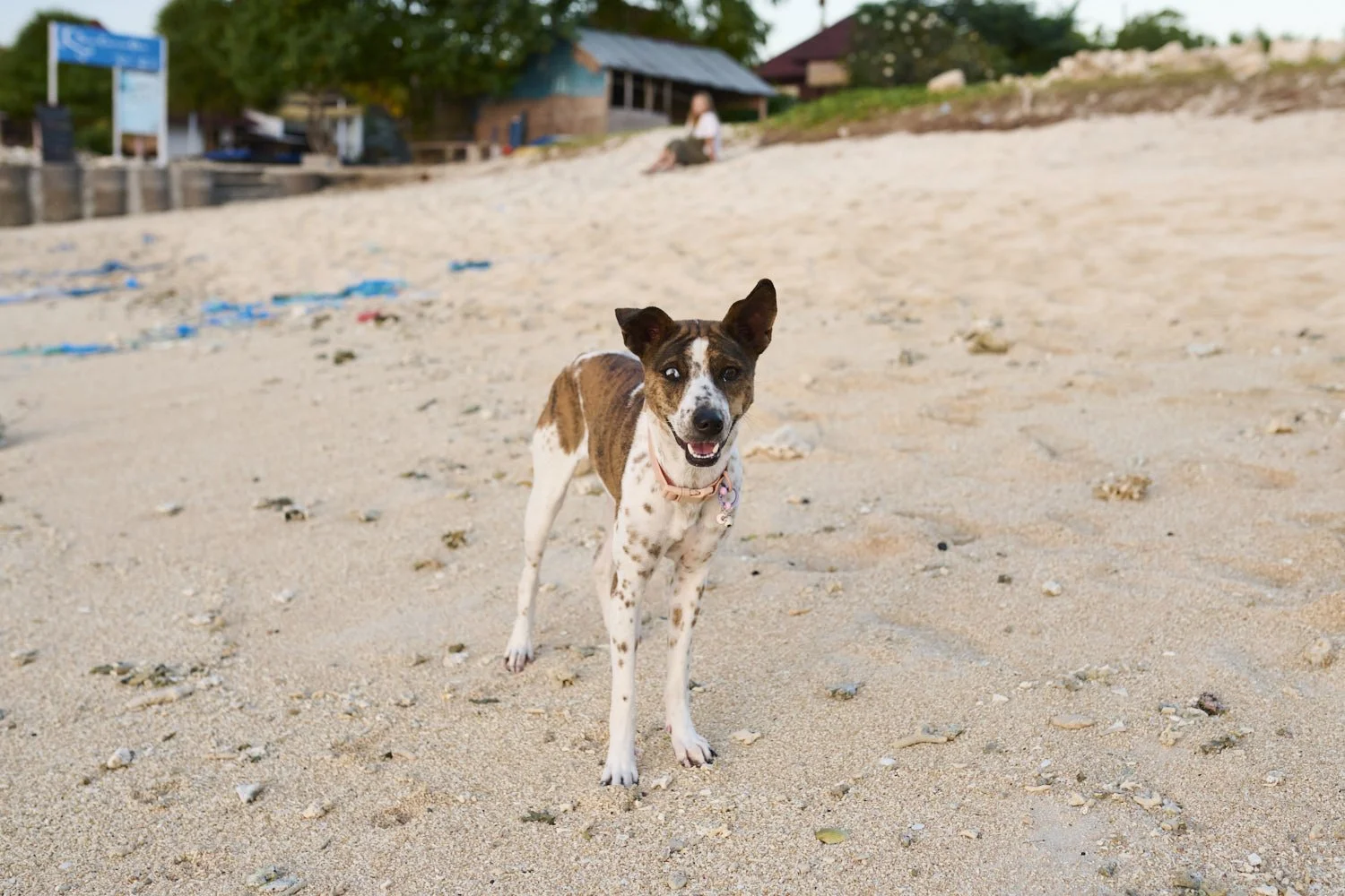 INDO25_DSC_2887.jpg