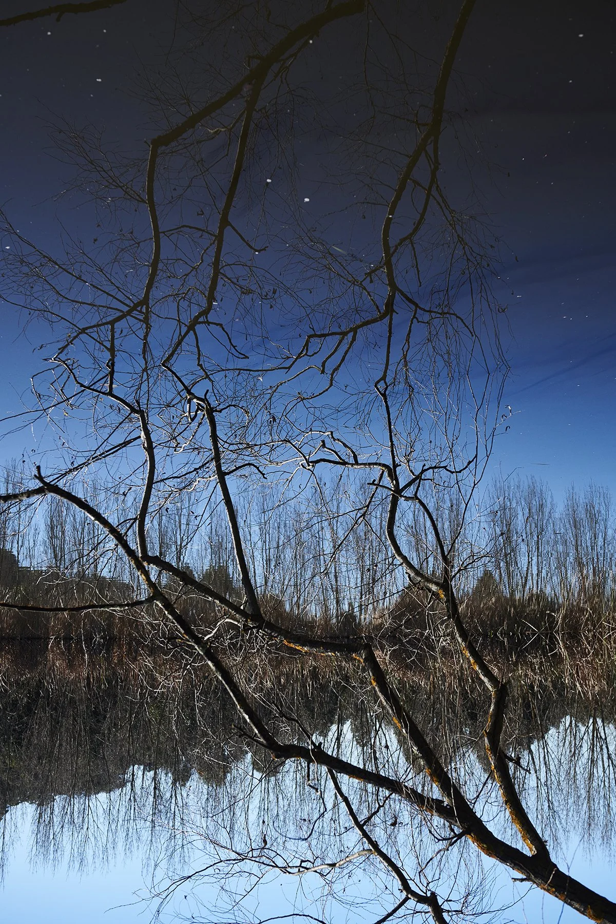 HEALESVILLE 21_DSC_6003.jpg