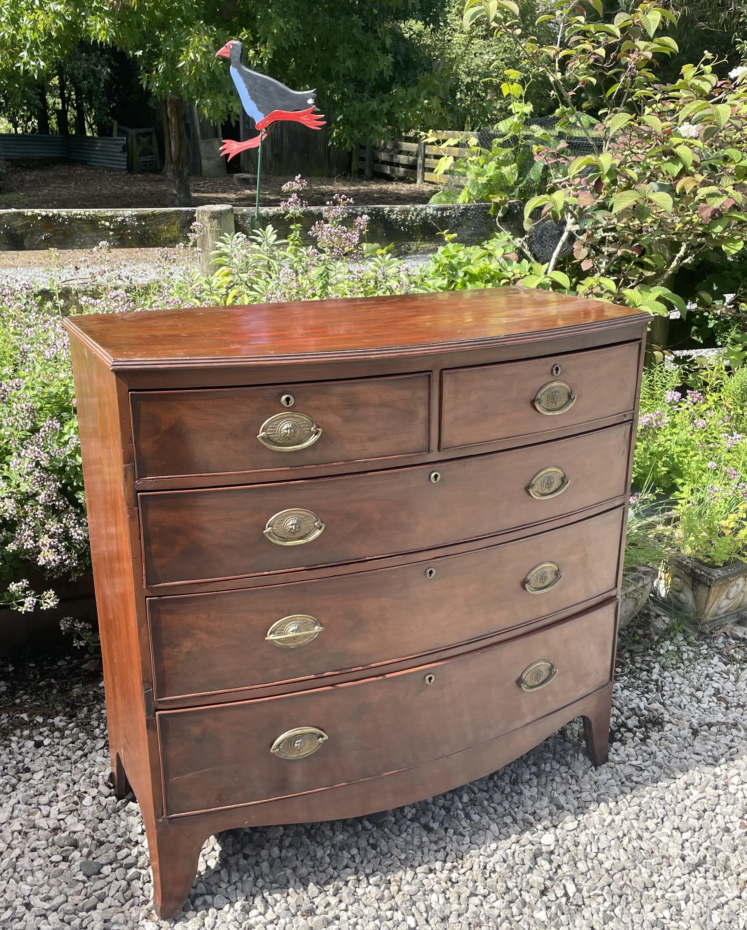 Georgian Bow Front Chest