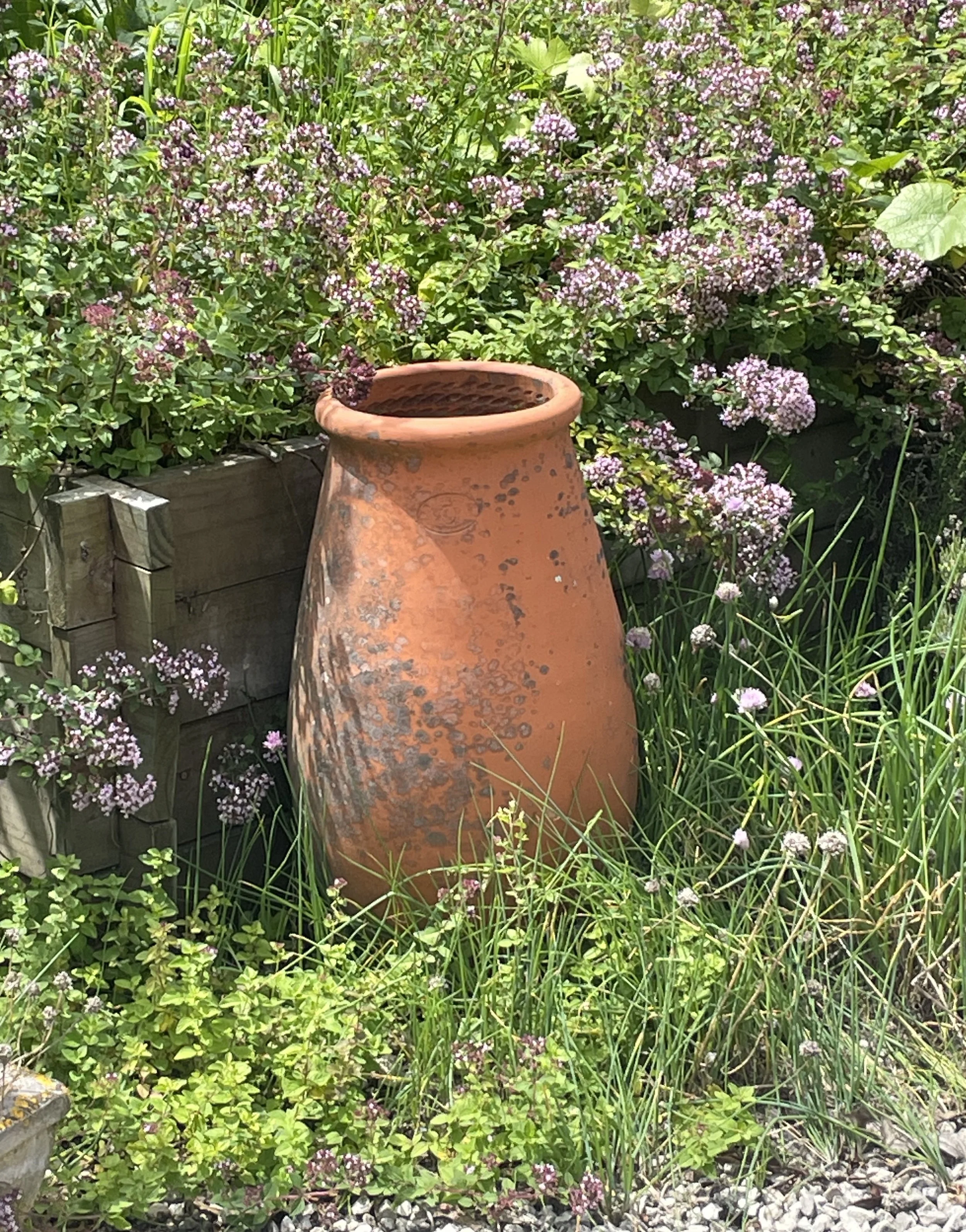 Burrelli Pot