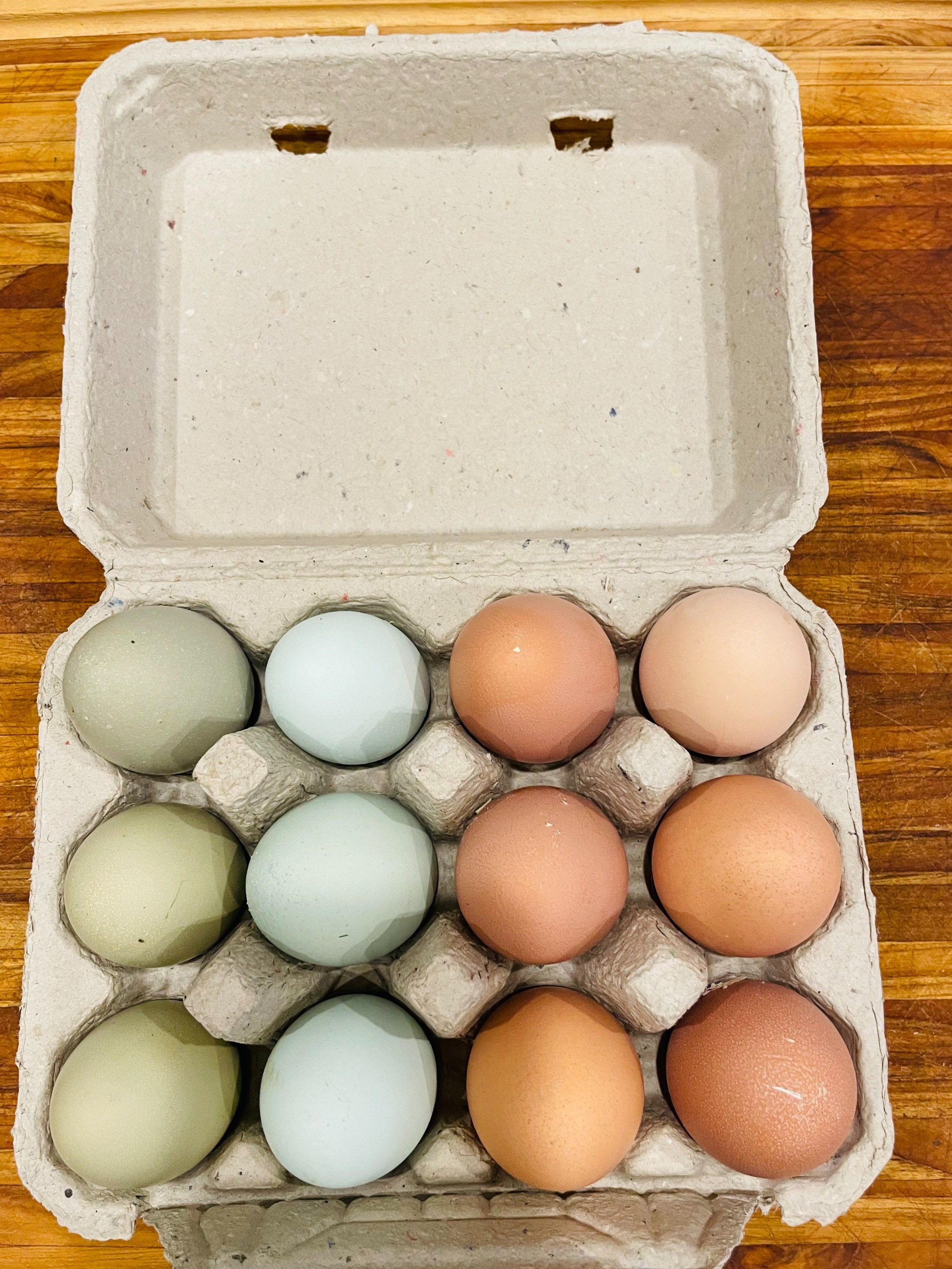 Rainbow colored, pasture-raised eggs from happy hens
