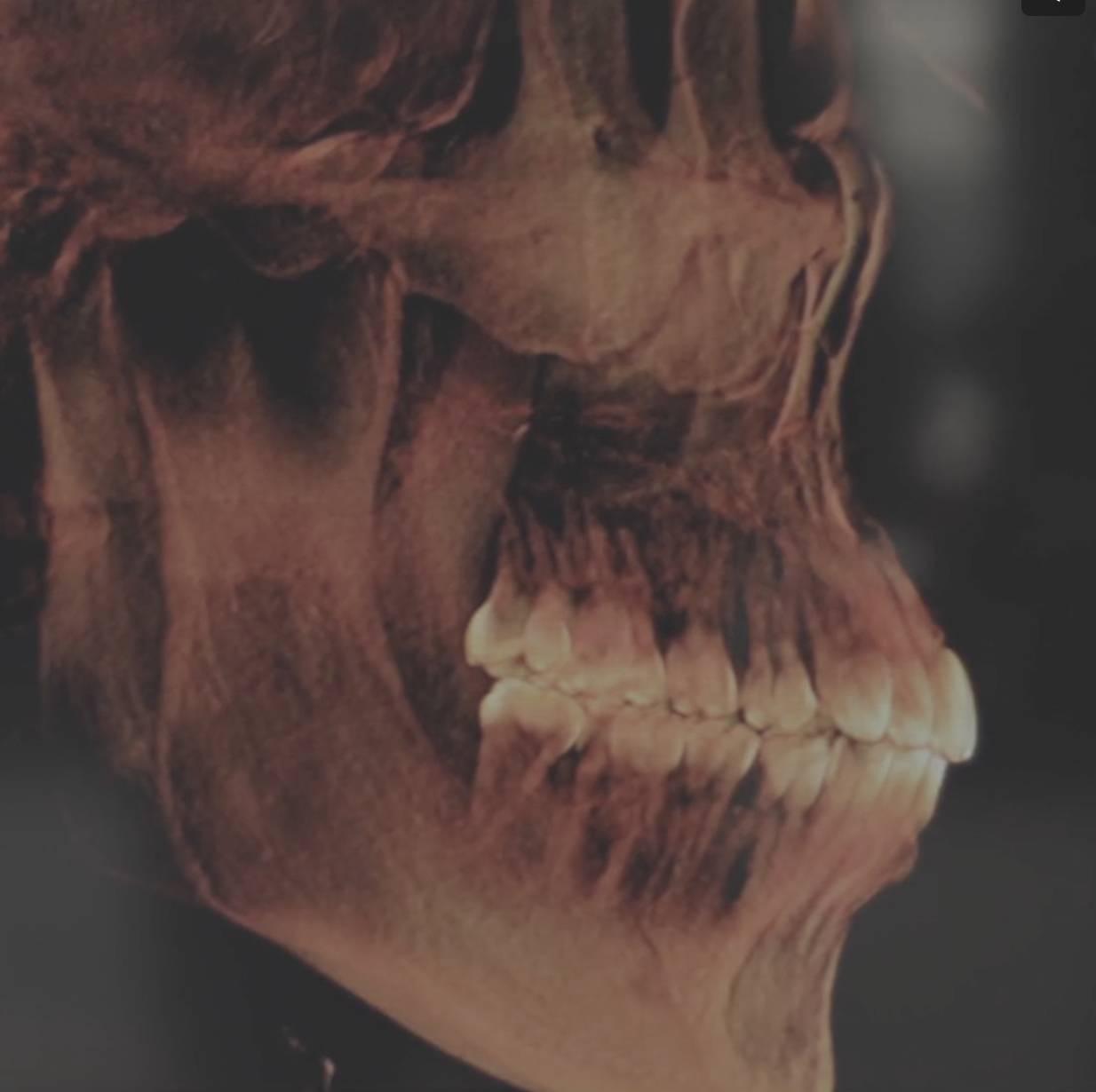 Screen Shot 2022-02-03 at 1.23.54 AM.png