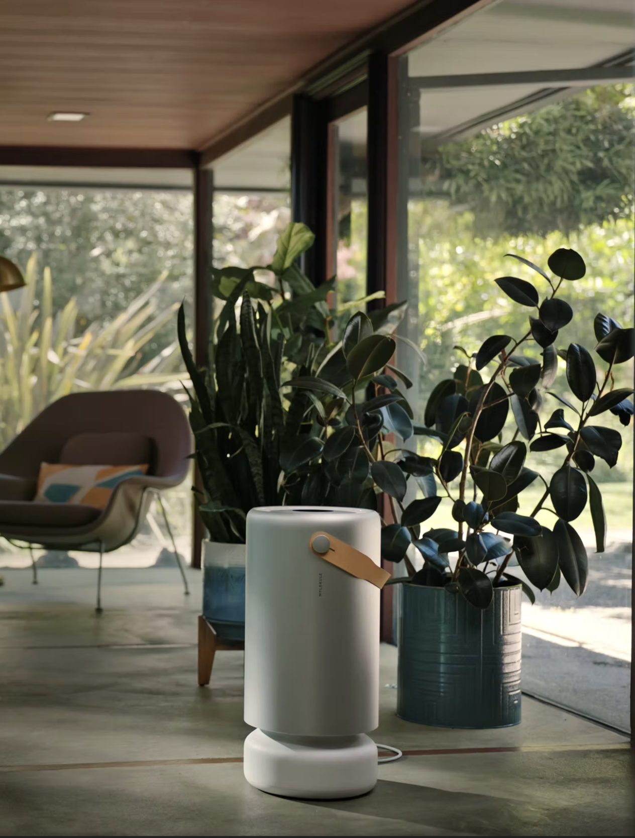 Screen Shot 2022-02-03 at 12.36.45 AM.png