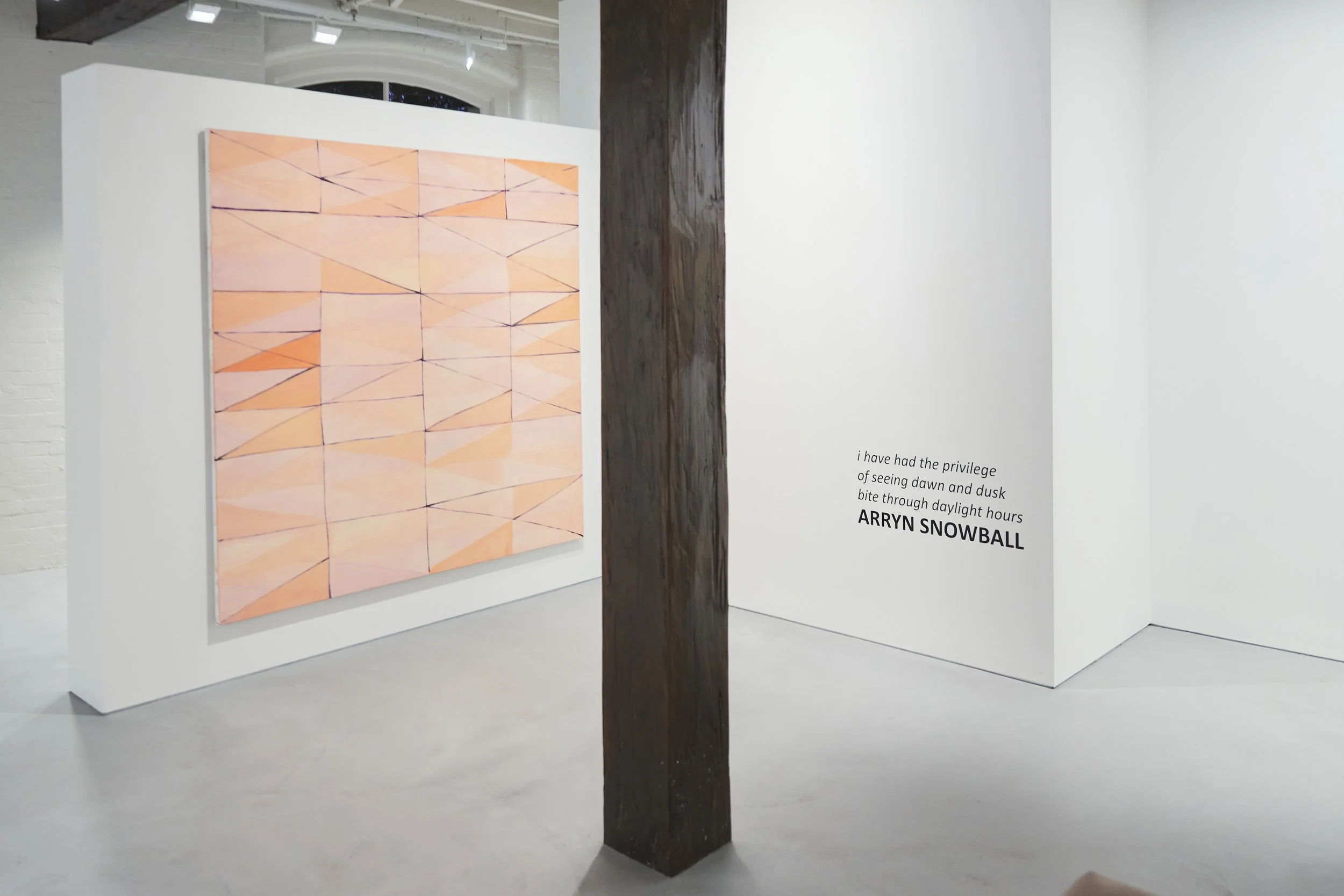 Jan Manton - Aaron Snowball 0322.jpg