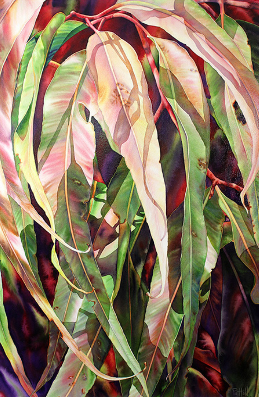   Crown,&nbsp; 2017, Pat Hall, Watercolour on stretched paper, 137cm by 91cm. 