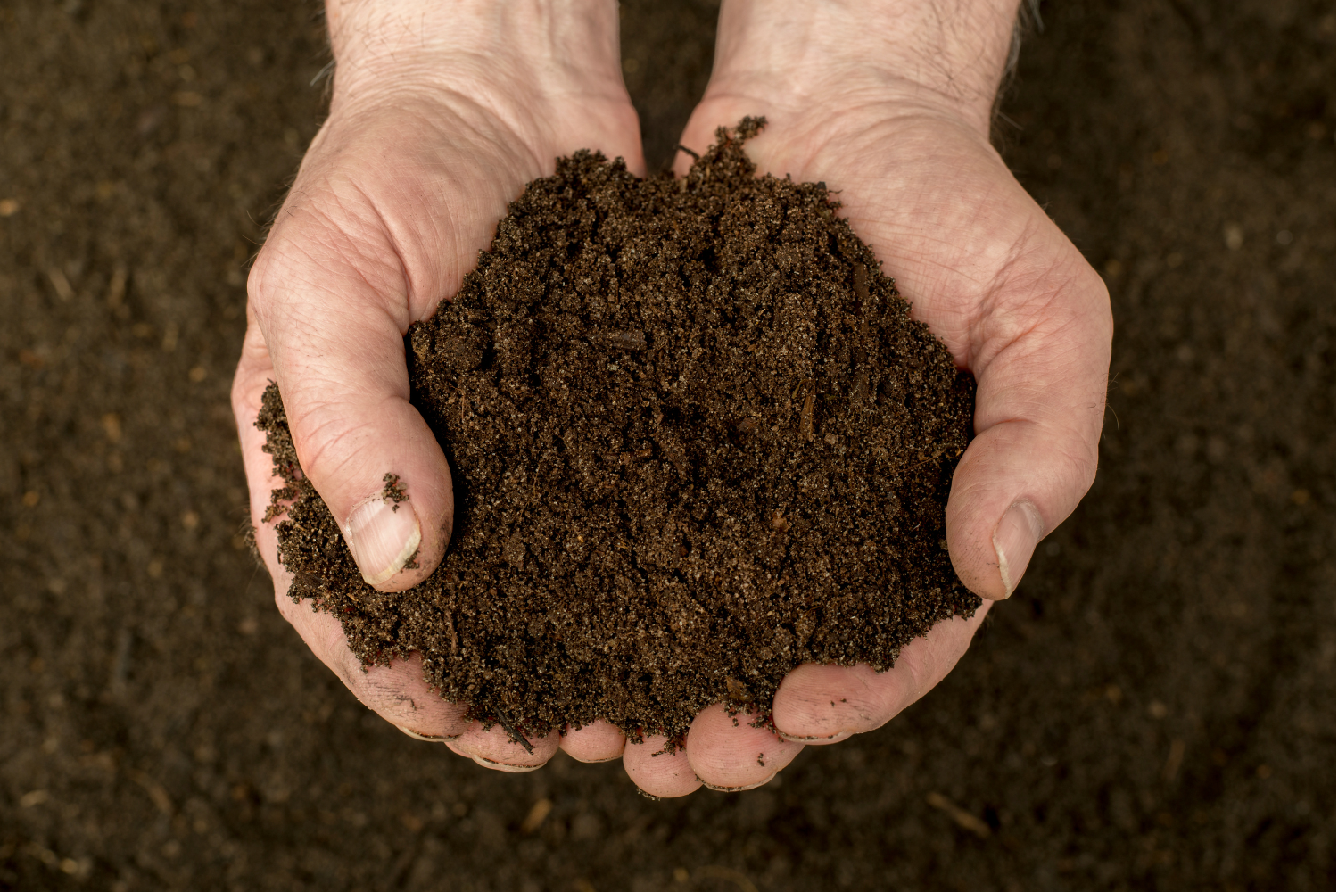 The Unexpected Power of Soil Health