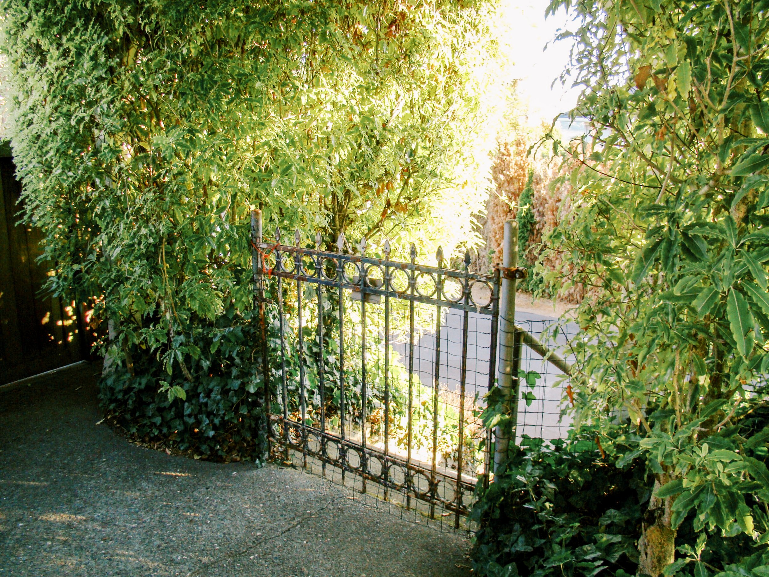Belvedere13.jpg