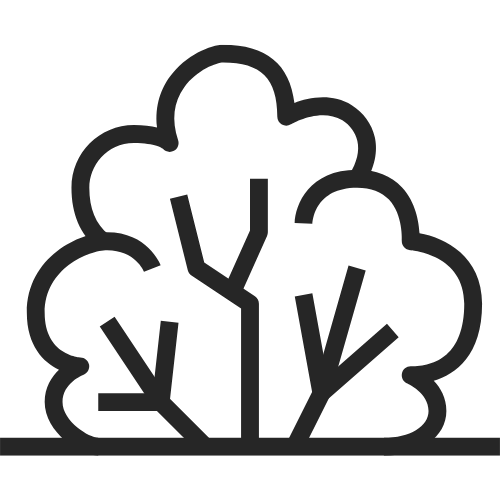 Black outline drawing of a bush or shrub with multiple branches.