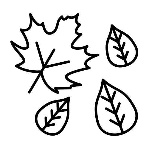 Black line drawing of four different leaves on a white background.