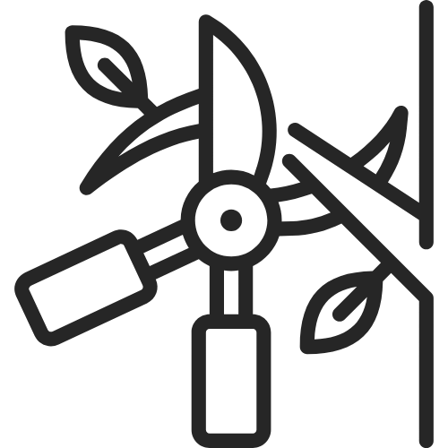 Line drawing of gardening tools and plants.