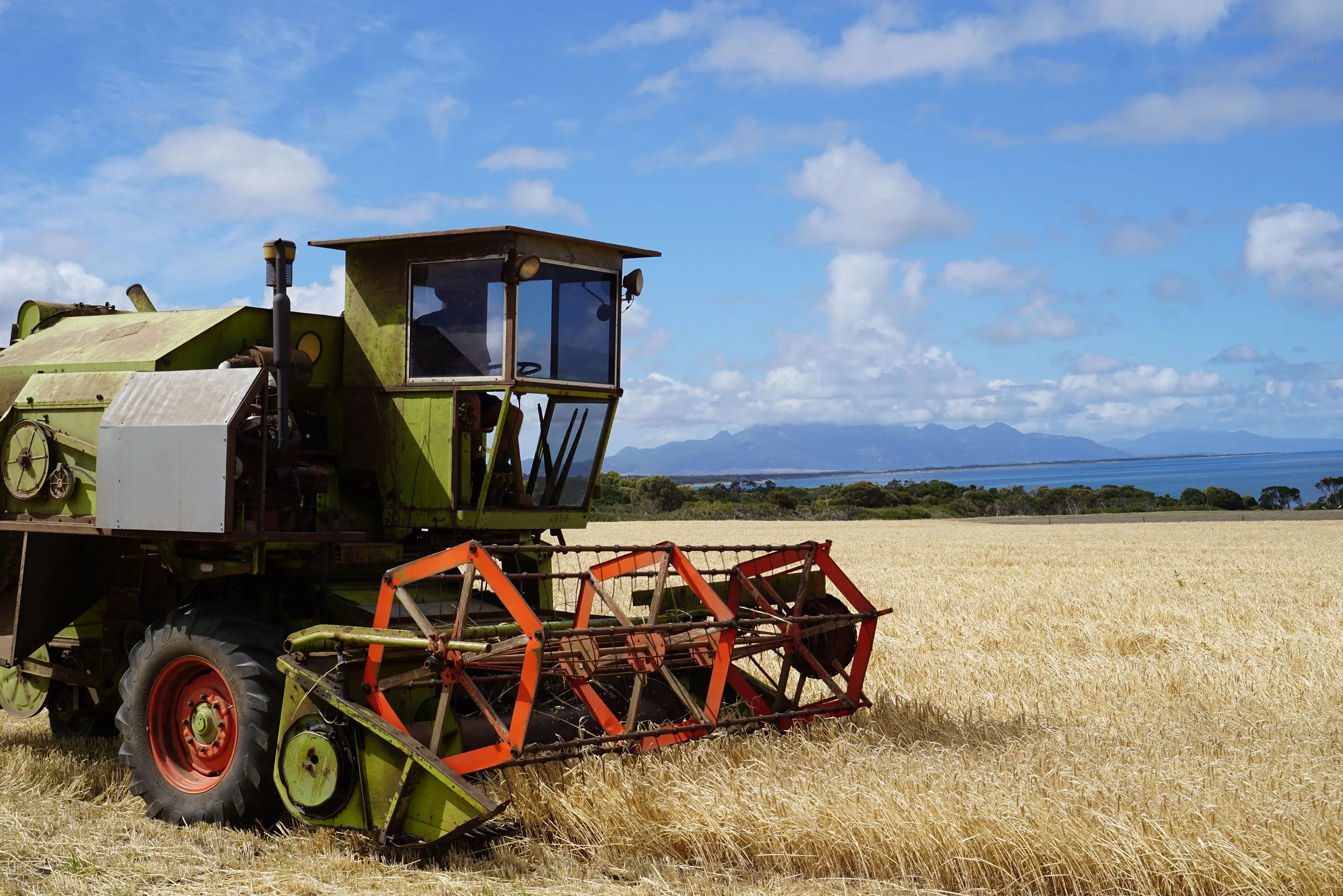 Barley Harvester