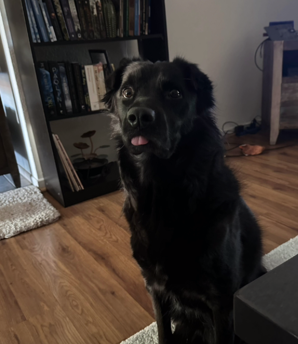 Screenshot 2026-03-16 145640.png