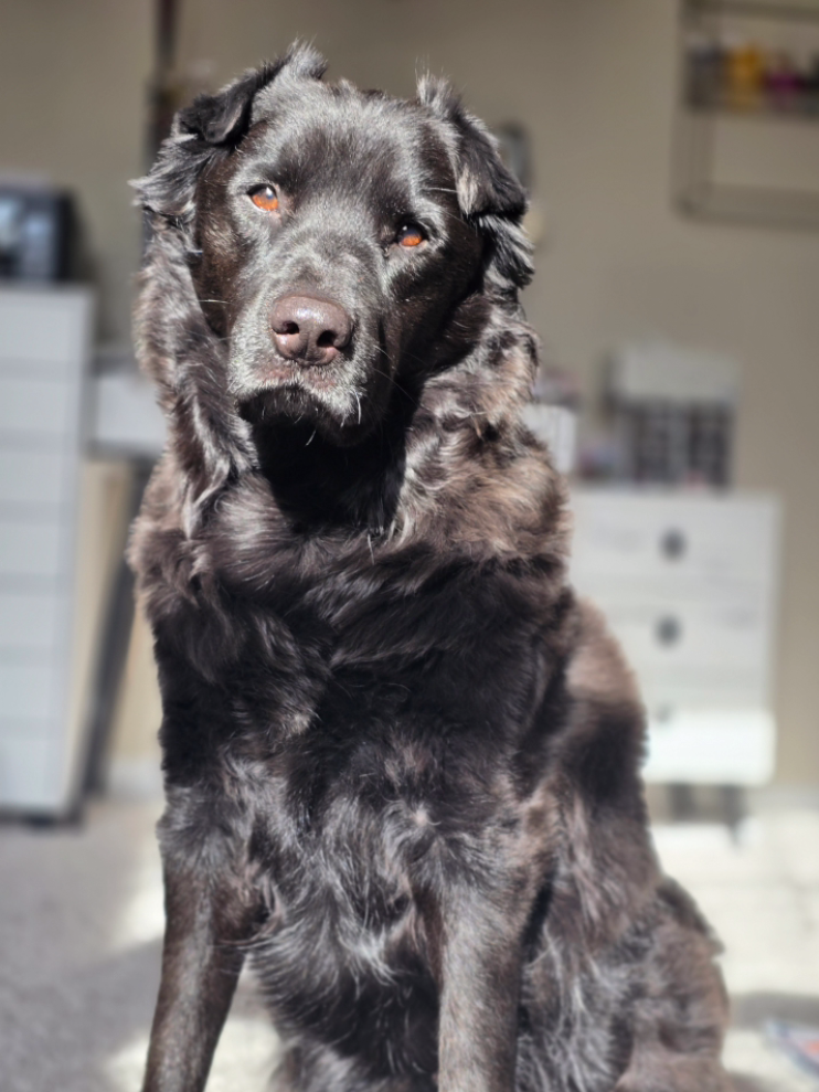 Screenshot 2026-03-16 145534.png