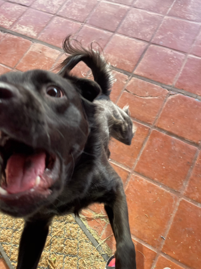 Screenshot 2026-03-16 145749.png