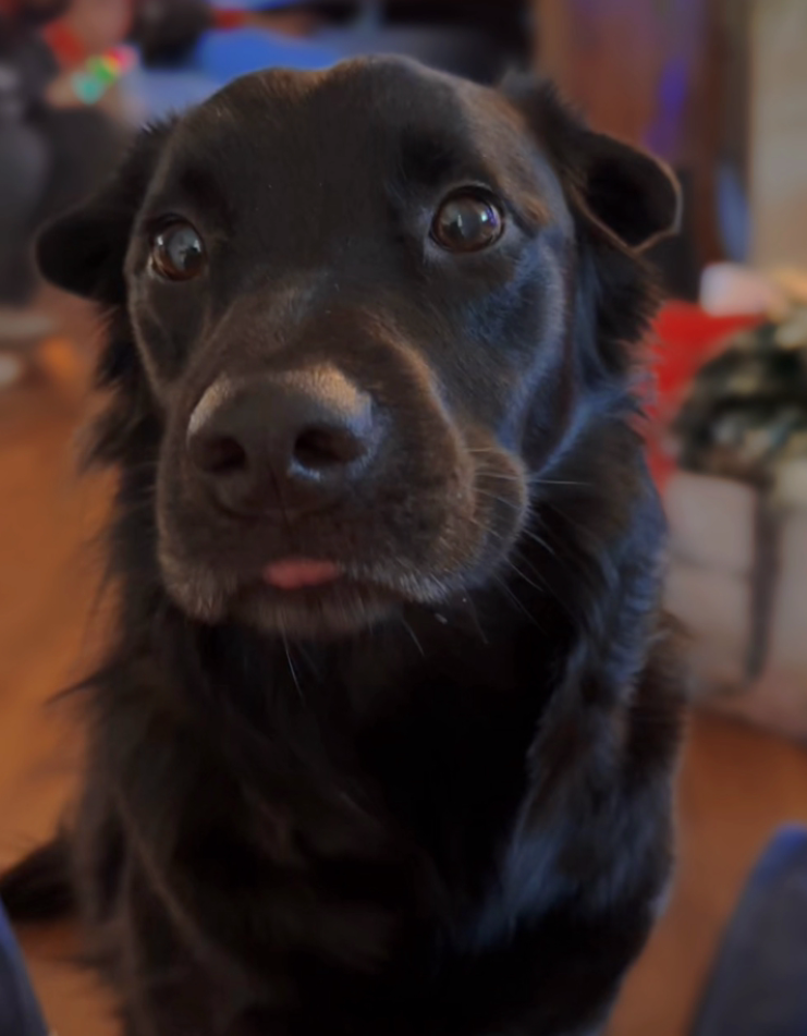 Screenshot 2026-03-16 145657.png