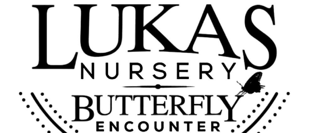 Mask group-2.png