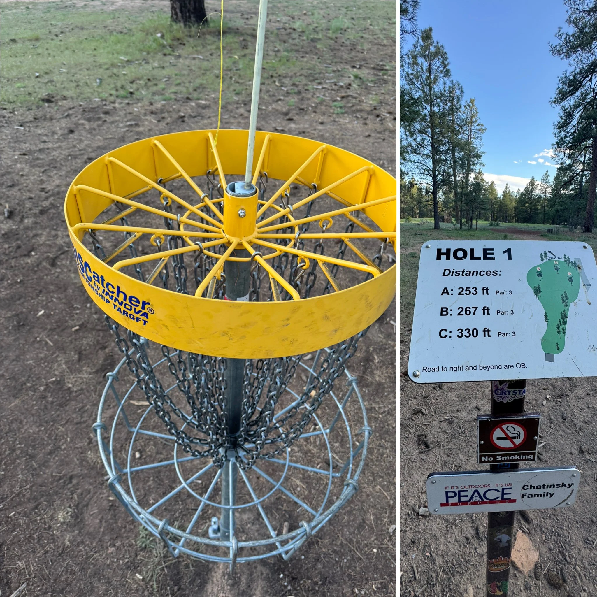 Disc Golf: Fit to Play