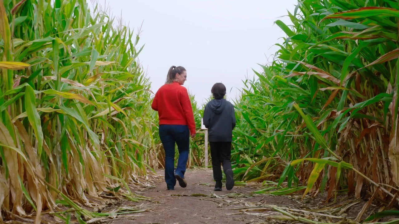 Two women walking through a cornfield pathway.