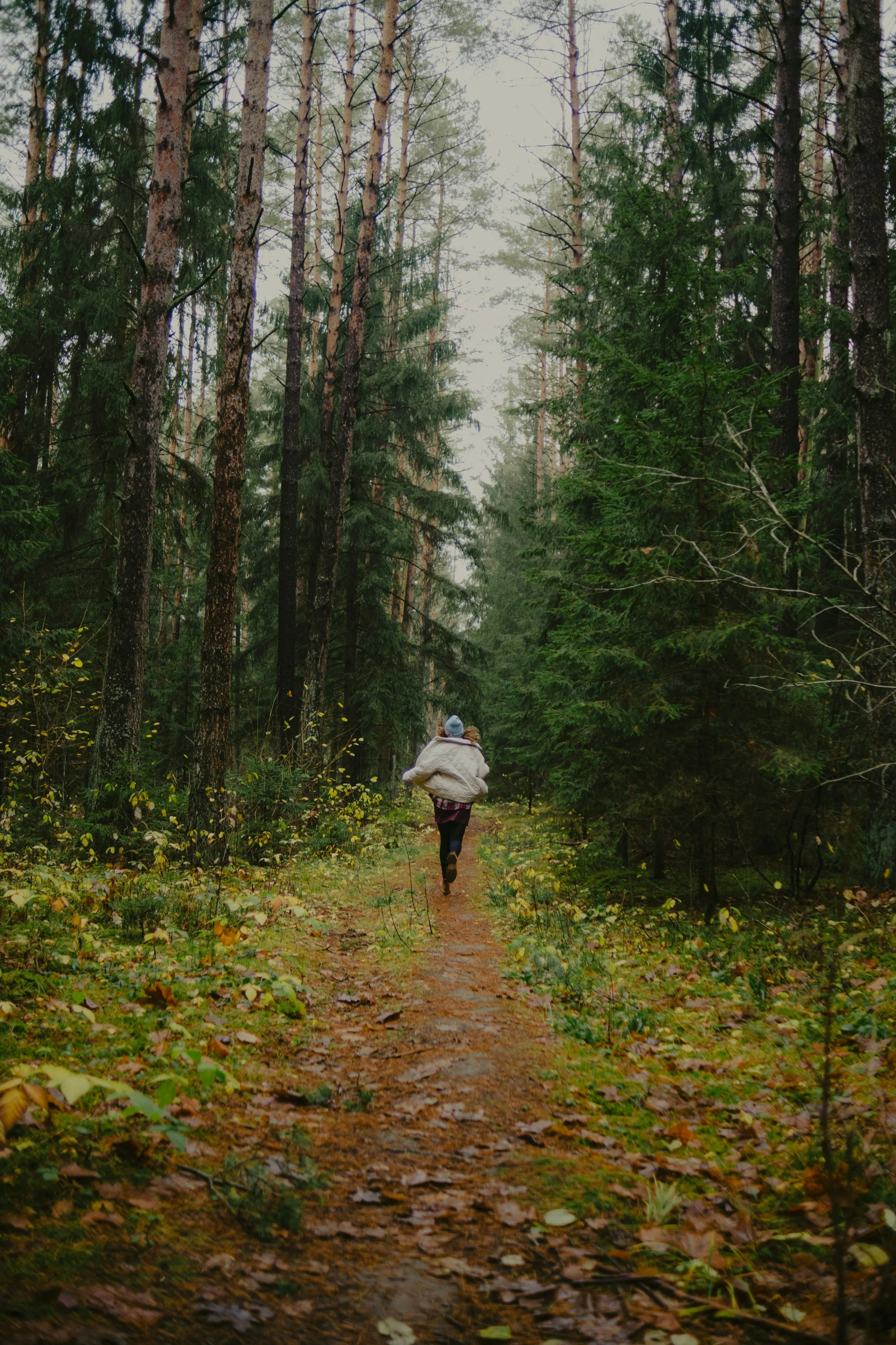 capture the flag.jpg