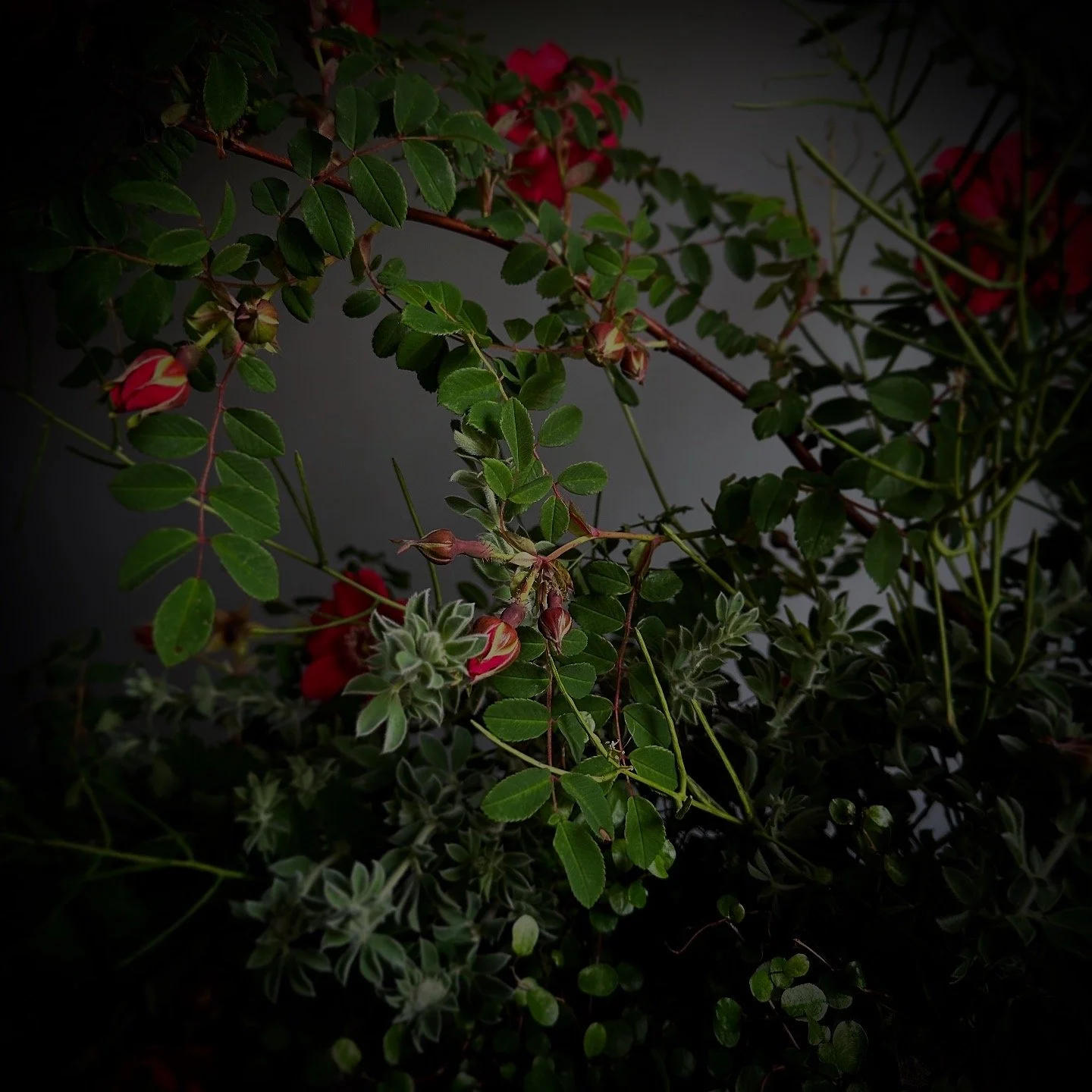 3F5EA4CC-95C6-4E93-BC5E-5AE1470938CD.jpg