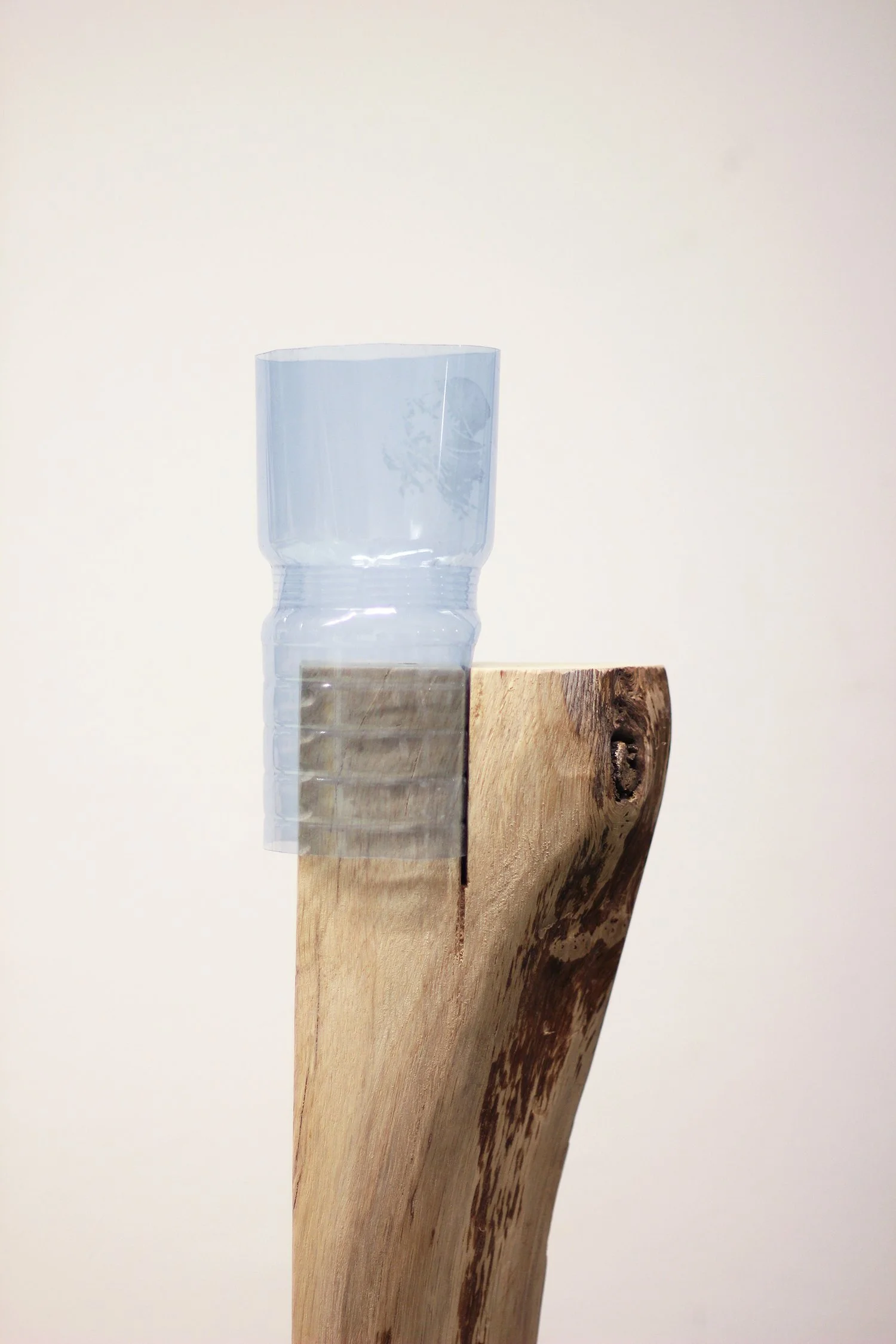 MicaellaPedros_Oak, Plastic and bits_Detail copie_Web.jpg