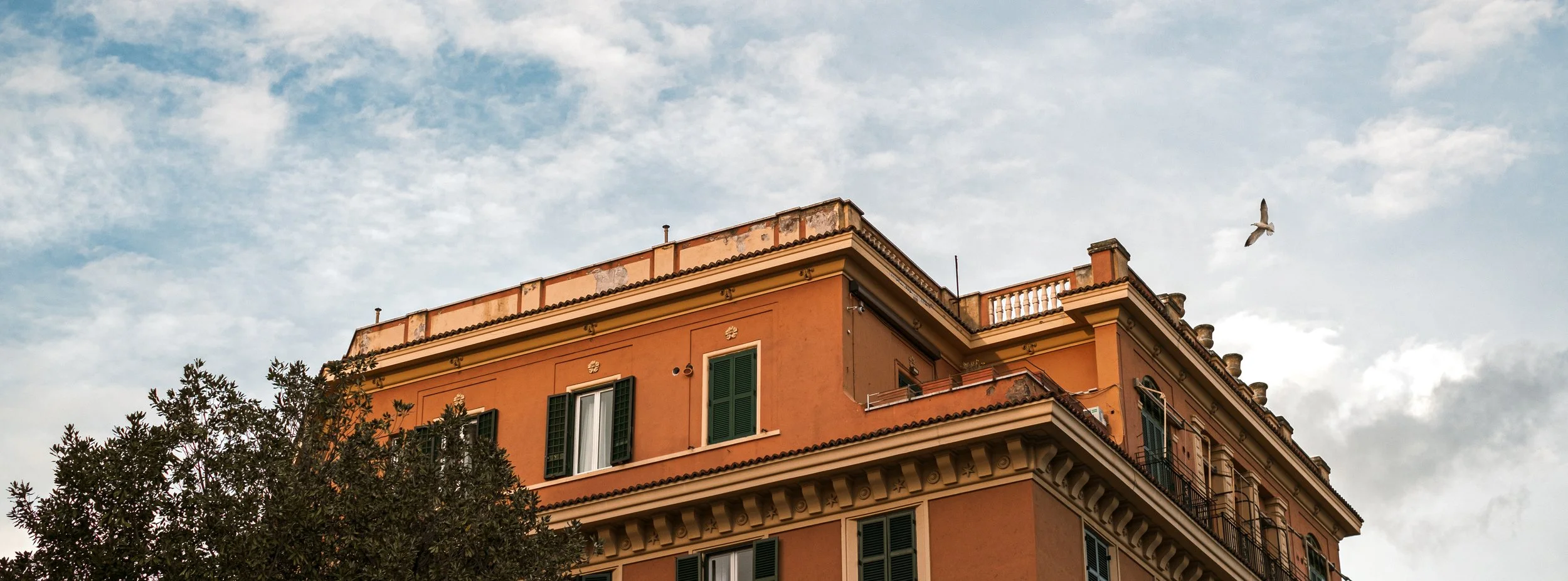 ROMA_08.jpg