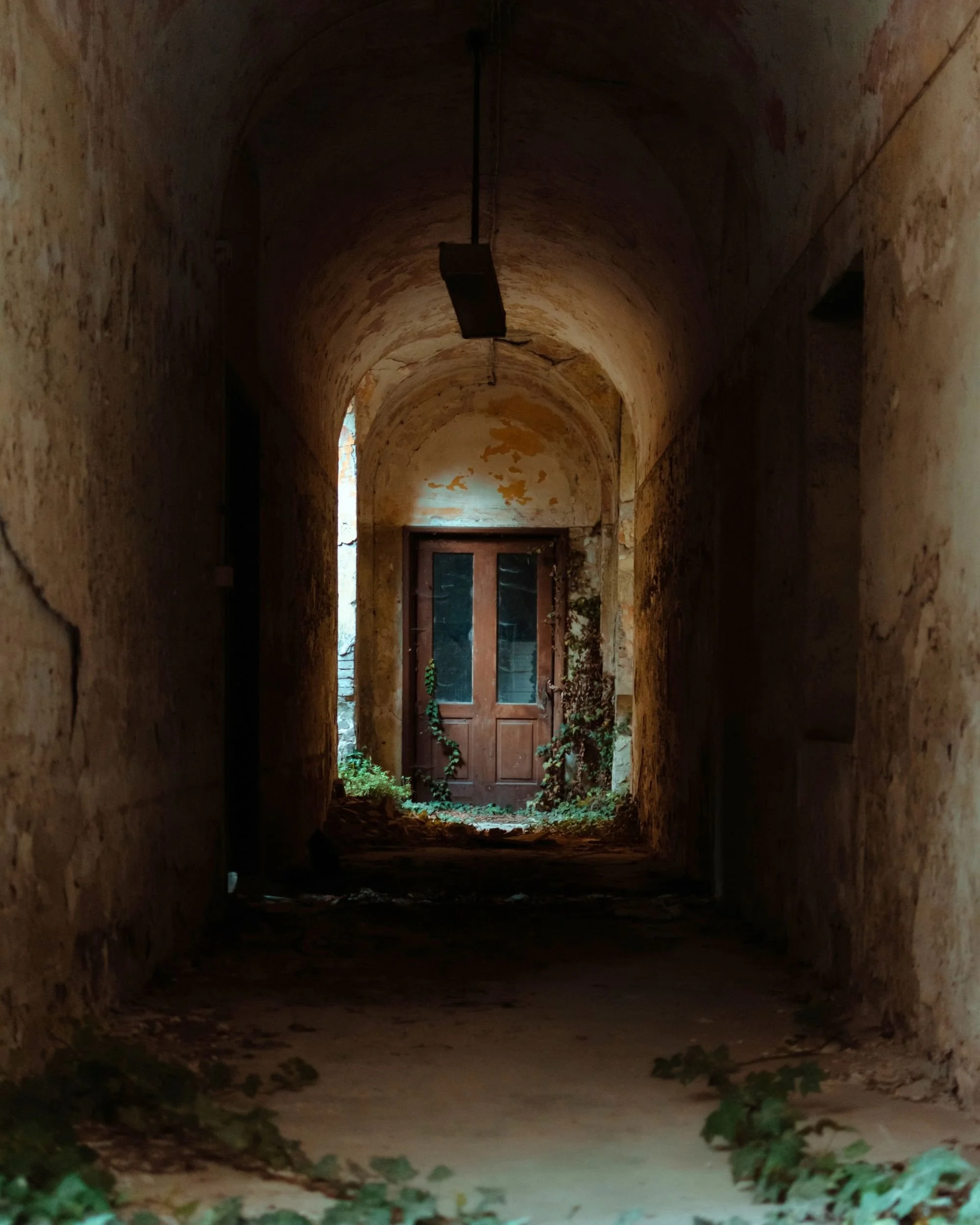 A long vaulted corridor, plants pushing through the floor toward a door at the end