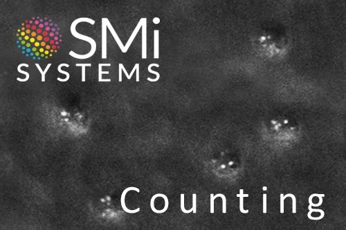 SMi looks at beads and planar surfaces