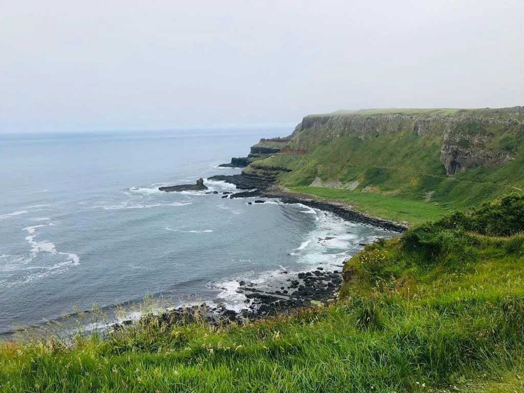 WhatsApp Image 2022-11-10 at 2.07.47 PM (10).jpeg