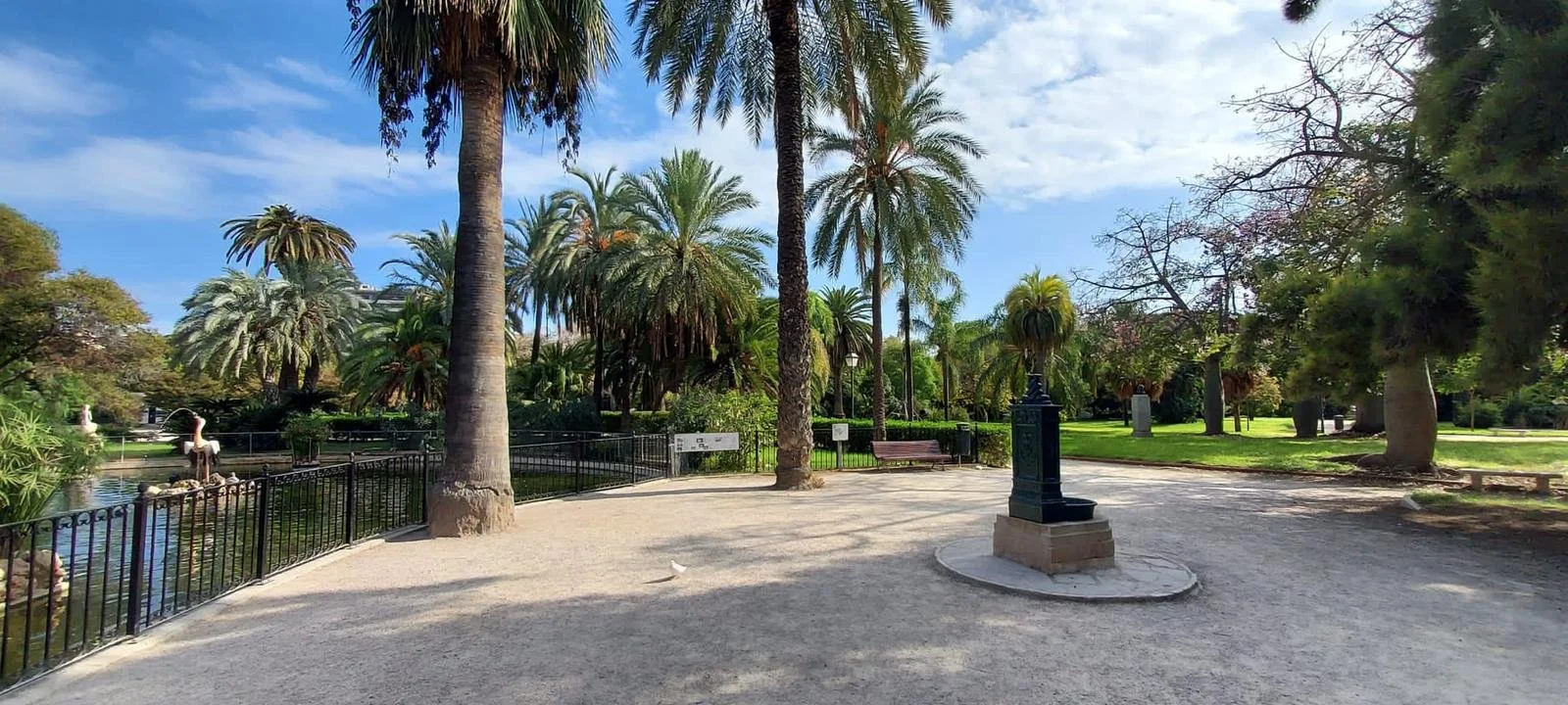 WhatsApp Image 2022-11-11 at 12.52.44 PM.jpeg