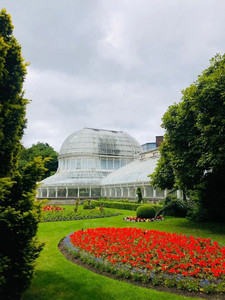 WhatsApp Image 2022-11-10 at 2.06.44 PM (7).jpeg