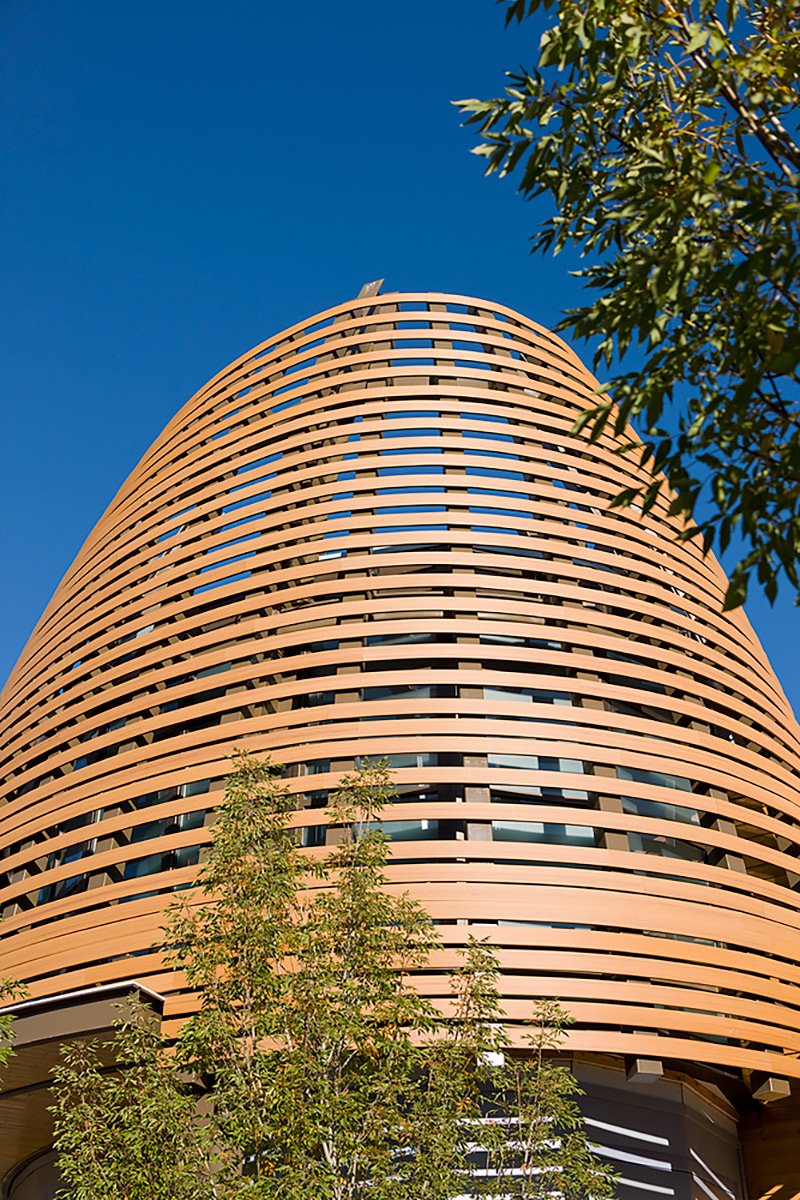 Park Meadows Mall — Hall Architecture Studio