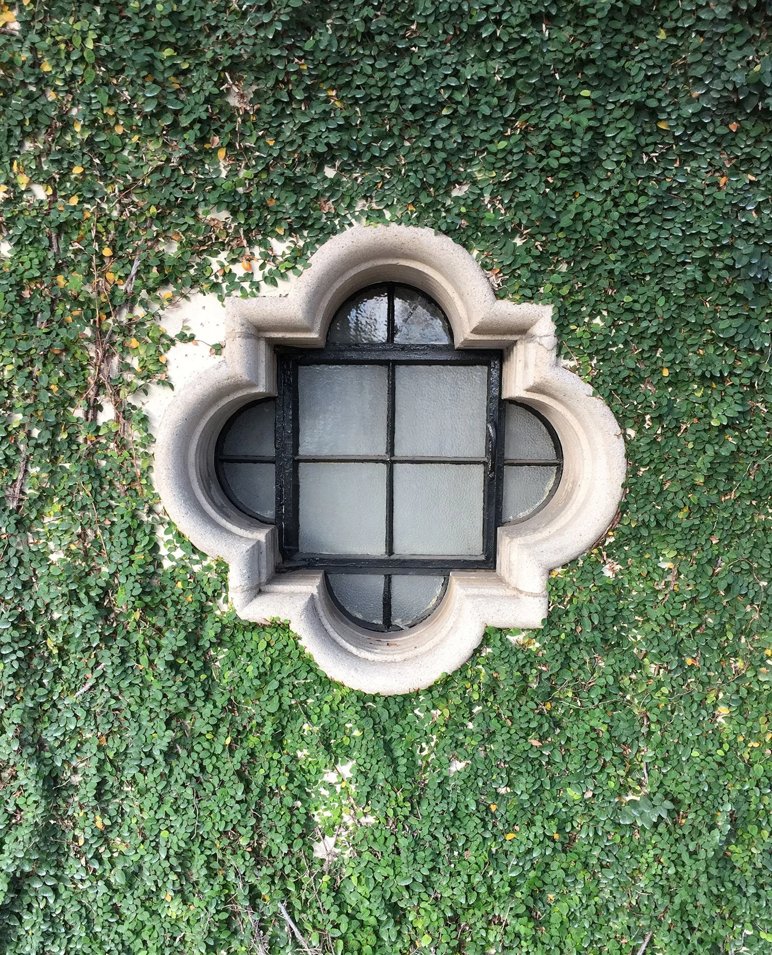 Quatrefoil-window-image-with-ivy-copy.jpg