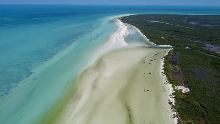 Isla Holbox, Mexico: The Car-Free Island With Our Favorite Beach in Mexico