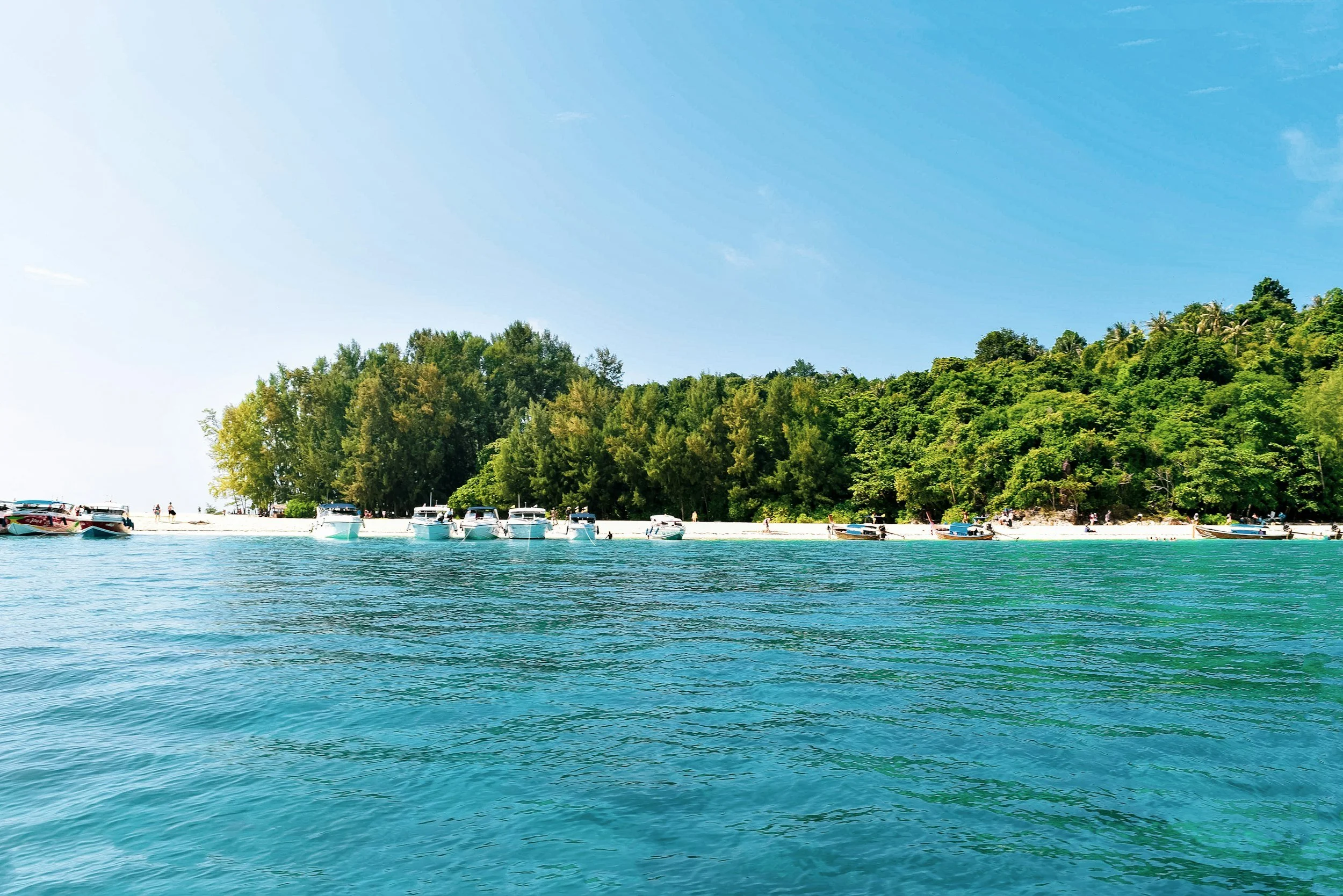 Koh Rok Day Trip From Koh Lanta: How to Book It, What It Costs and When to Go