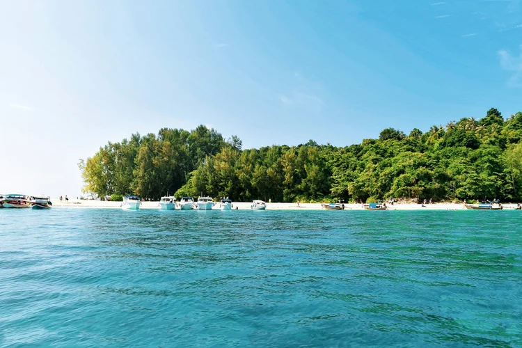 Koh Rok Day Trip From Koh Lanta: How to Book It, What It Costs and When to Go
